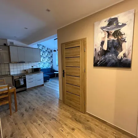 Luksusowy Przestronny Apartamento